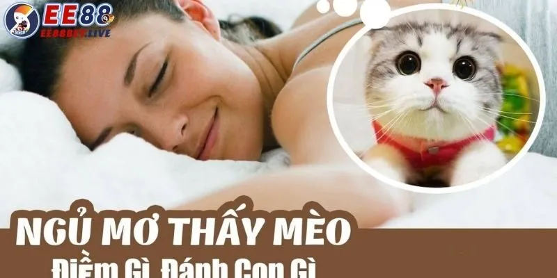 Các con số may mắn gắn liền khi chiêm bao thấy mèo