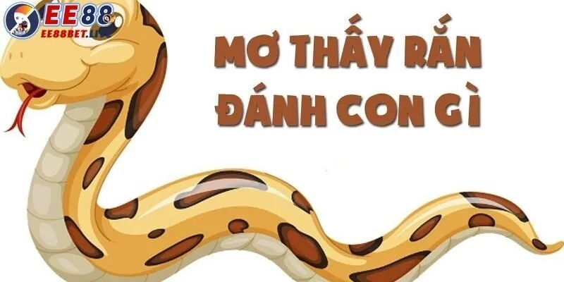 Chiêm bao thấy rắn hổ mang
